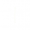 PAILLE PAPIER RIGIDE BAMBOU JUNGLE 196X6MM X100