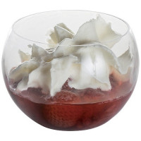 VERRINE ESFERA 12 CL PLASTIQUE TRANSPARENT (X10)