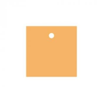 ETIQUETTE CARREE ORANGE 4CM UNIE X25