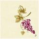 SERVIETTE NT DUNI RAISIN 40X40CM X50
