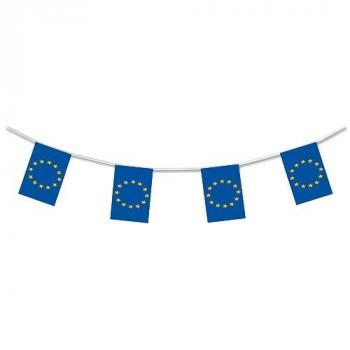 GUIRLANDE EUROPE PLASTIQUE 5 M