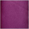 SERVIETTE VOIE SECHE 40X40CM PRUNE X50