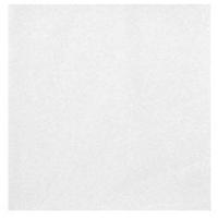 SERVIETTE VOIE SECHE 40X40 CM BLANC X50