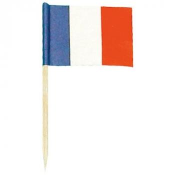 PETIT DRAPEAU FRANCAIS X144