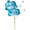 ORCHIDEE DOUBLE 12CM TURQUOISE