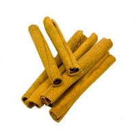 BATON CANNELLE 8 CM (X20)