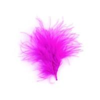 PLUMES 5/10 CM FUSHIA 10 G