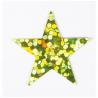 CONFETTIS ETOILES HOLO VERT 14GR