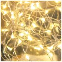 GUIRLANDE 20 MINI LED BLANC CHAUD 2M