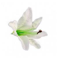 SACHET 6 FLEURS BLANC 13CMX12CM