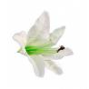 SACHET 6 FLEURS BLANC 13CMX12CM