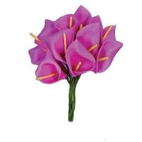 ARUM X12 FUSHIA