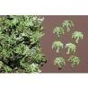 CONFETTIS PALMIER VERT
