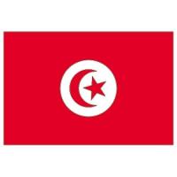 DRAPEAU TUNISIE 90CMX150CM