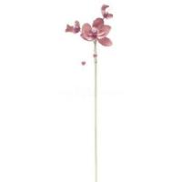 4 ORCHIDÉES & PERLES ROSE SUR PIQUE 25 cm