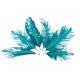 6 PLUMES FEERIQUES EMERAUDE ET PAILLETTES OR 15CM