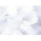 PLUMES 10GR 5/10CM BLANC