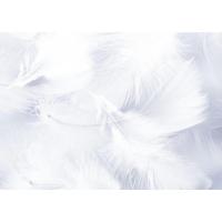 PLUMES 10GR 5/10CM BLANC