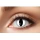 LENTILLE DE CONTACT OEIL DE CHAT