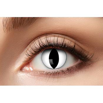 LENTILLE DE CONTACT OEIL DE CHAT