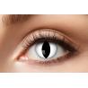 LENTILLE DE CONTACT OEIL DE CHAT