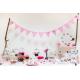 GUIRLANDE FANIONS CANDY BAR 4M