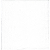 Serviette ouate blanche 1 pli 30x30 cm