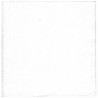 Serviette ouate blanche 1 pli 30x30 cm