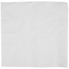 Serviette ouate blanche 2 plis 40x40 cm