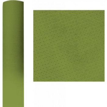 NAPPE VOIE SECHE KIWI 1.20X25M X1