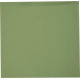 SERVIETTE DUNILIN  KIWI  40X40CM X12