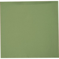 SERVIETTE ELEGANCE CRISTAL KIWI 40CM X10