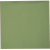 SERVIETTE ELEGANCE CRISTAL KIWI 40CM X10