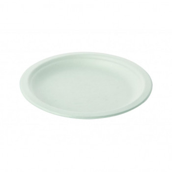 ASSIETTE PULPE D.18CM  X1000(40X25)