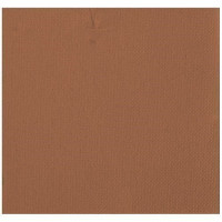 SERVIETTE MICRO GAUFFRE 25X25CM CHOCOLAT X50