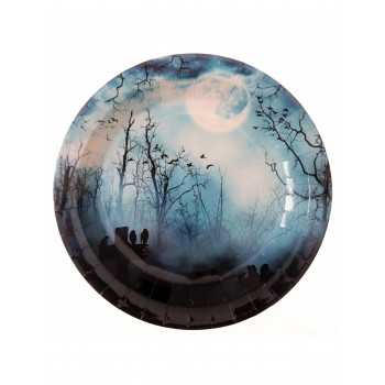 ASSIETTE CARTON 22CM HALLOWEEN HANTE X10