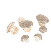 CHAMPIGNONS EN MOUSSE PAILLETTES OR X7 (3,5 et 6,5CM)