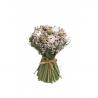 BOUQUET ROSES CREME/MENTHE  9,5X15CM