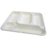 Plateau pulpe 5 compartiment X200