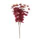 BOUQUET D'EUCALYPTUS POURPRE 50CM