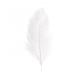 SACHET 5 PLUMES AUTRUCHE BLANCHE 20-25CM