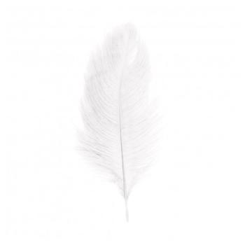 SACHET 5 PLUMES AUTRUCHE BLANCHE 20-25CM