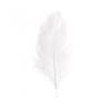SACHET 5 PLUMES AUTRUCHE BLANCHE 20-25CM