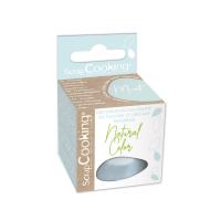 COLORANT ALIMENTAIRE EN POUDRE MINT 10G