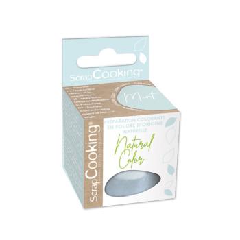 COLORANT ALIMENTAIRE EN POUDRE MINT 10G