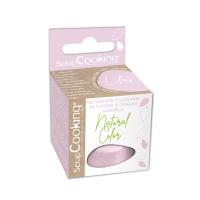 COLORANT ALIMENTAIRE EN POUDRE LILAS 10G