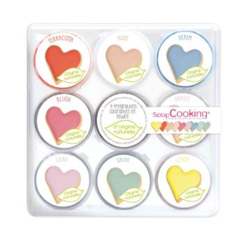 MINI COLORANT EN POUDRE D'ORIGINE NATURELLE X9