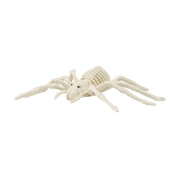 SQUELETTE ARAIGNEE 25CM