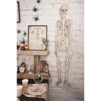 SQUELETTE ARTICULE CABINET CURIOSITES 135CM