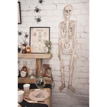 SQUELETTE ARTICULE CABINET CURIOSITES 135CM